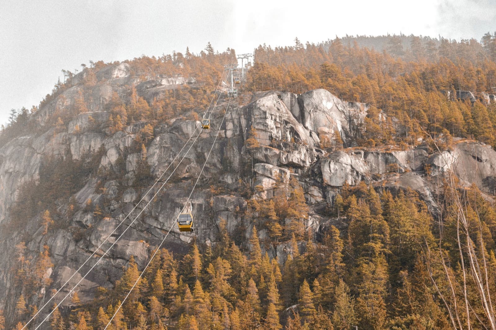 A Sea to Sky Gondola cabin crossing a granite slope in autumn