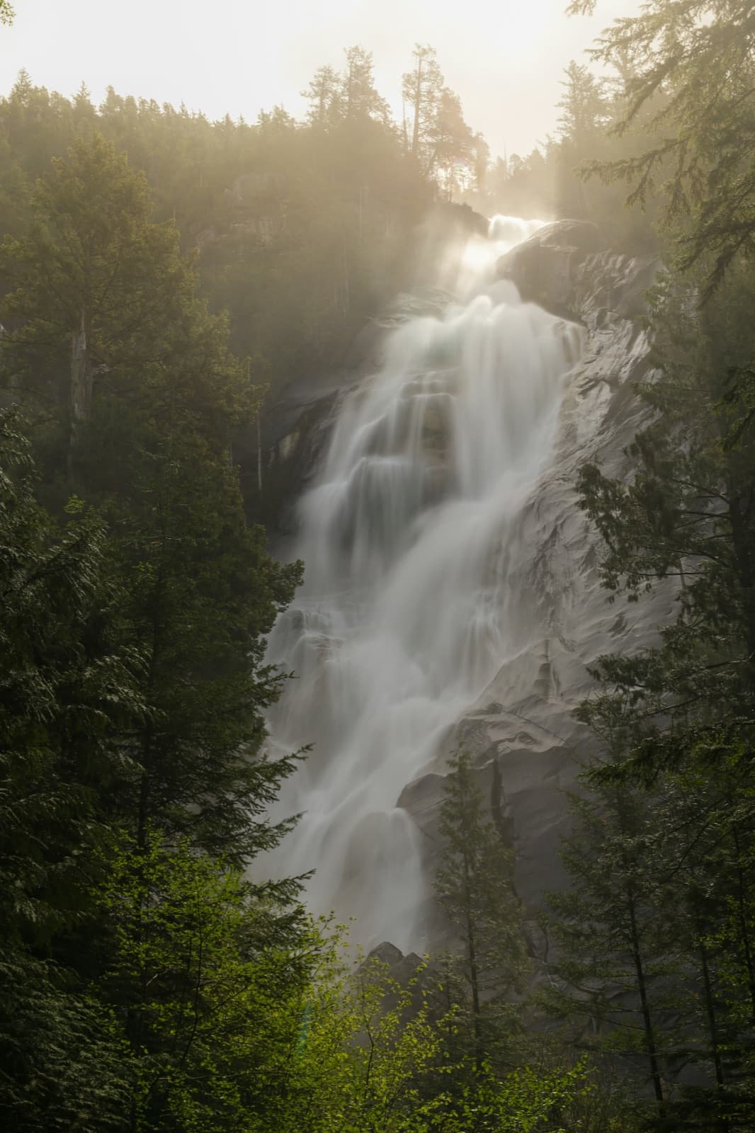 Shannon Falls dropping through morning mist