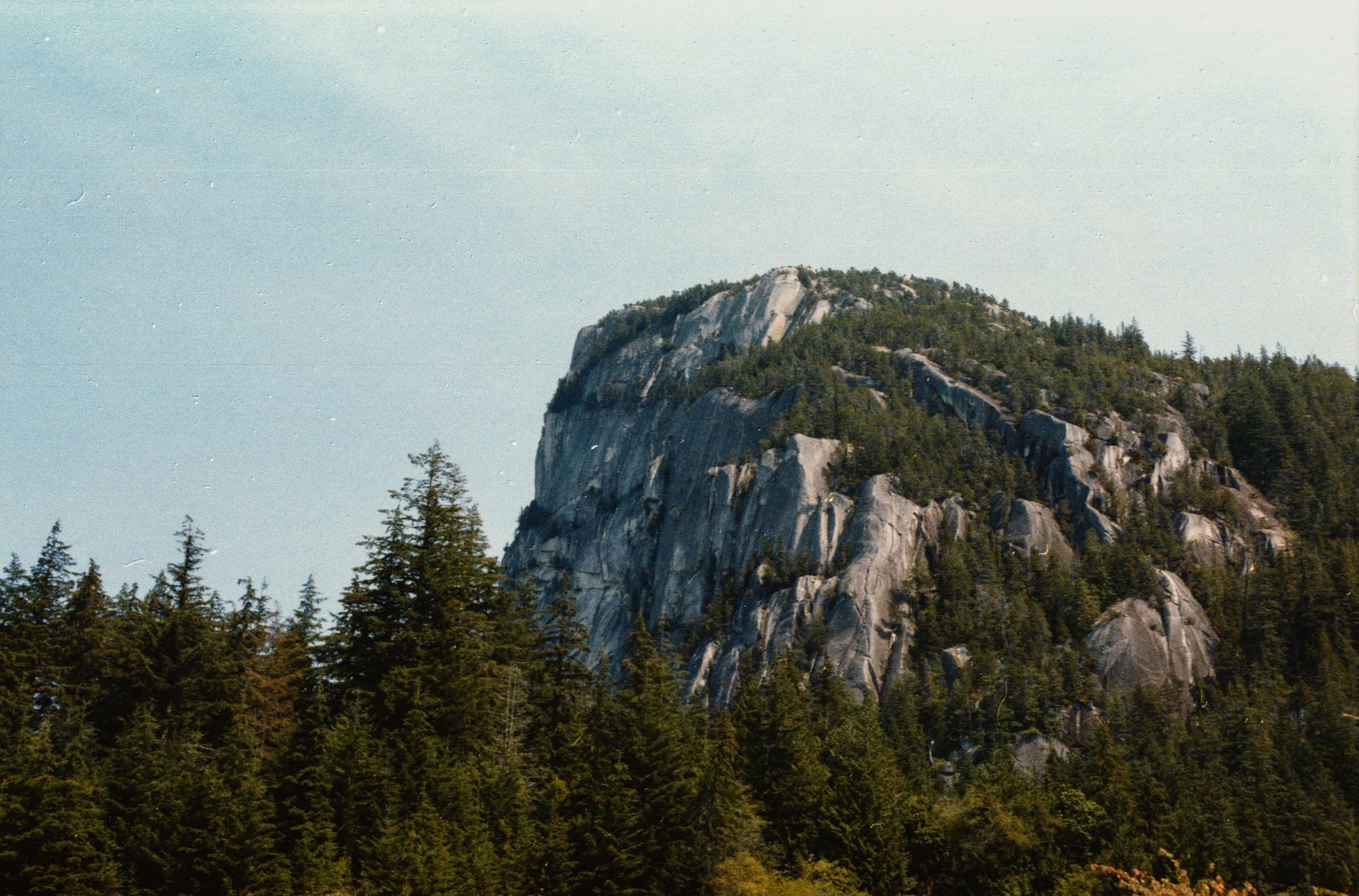 The granite face of the Stawamus Chief above the forest