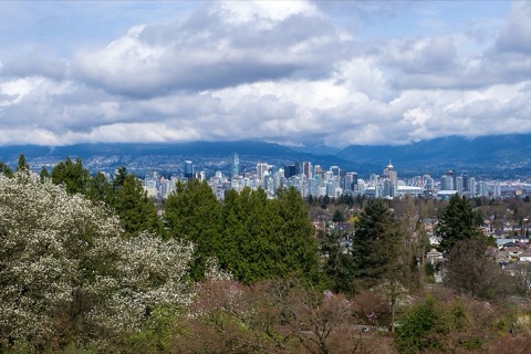 Queen Elizabeth Park